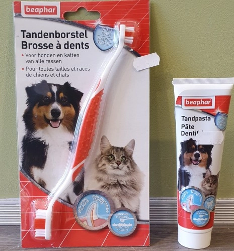 Tandpasta en borstel